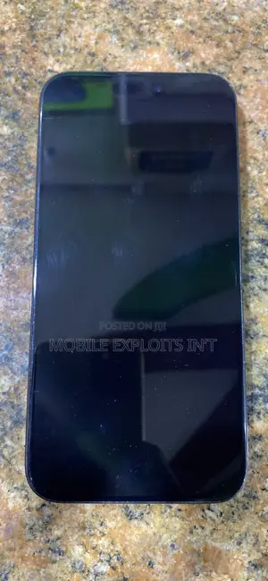 Apple iPhone 15 Pro Max 256 GB Gray