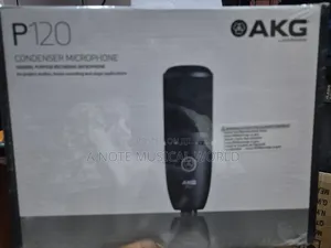 P120 Akg Microphone