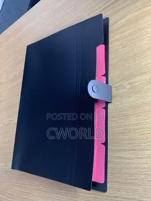 Black File Folder With Pink Tabs