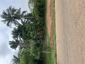 Four Plots for Sale at Egbeda/Boredun Federal Road