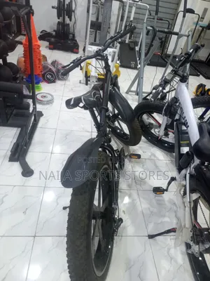Electronic Fat Tyre Bike