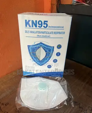 Kn95 Protective Mask