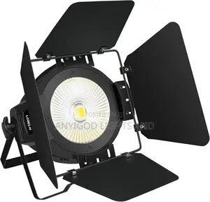 100w Cob White Warm White Led Par Stage Lights With Ban-Door Cover.