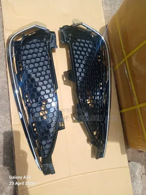 Front Bumper Mesh 2018 Acura TLX