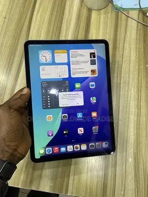 Apple iPad Pro 11 (2021) 256 GB Gray