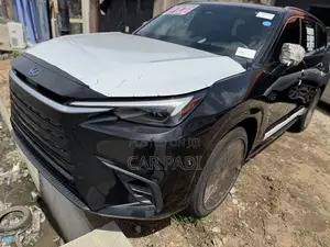 Lexus TX 2024 Gray