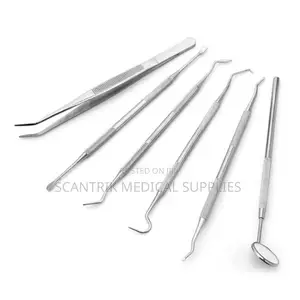 Heavy Duty Stainless College Tweezer for Clinical Efficiency