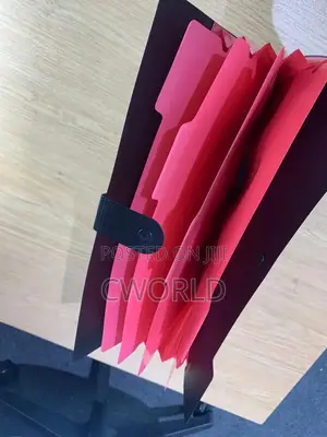 Black File Folder With Pink Tabs
