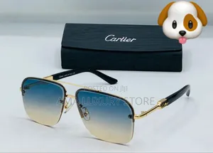Cartier Luxury Designer Men's Sunglasses