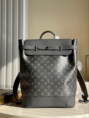Louis Vuitton Luxury Designer Bag Packs