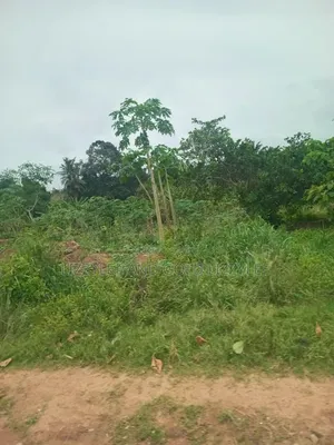 500 Acres of Farmland at Ilaro Available for Sale
