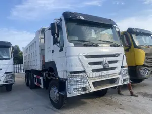 Foreign Used Howo Sinotruk Truck
