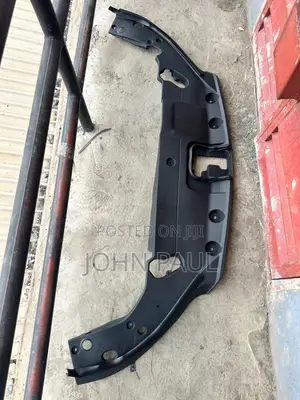 Radiator Plastic Rx350 2025