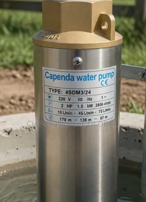 2"/2hp Capenda Sumo/Submersible Water Pump Machine