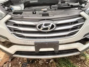 Hyundai Santa Fe 2017 Front Grill