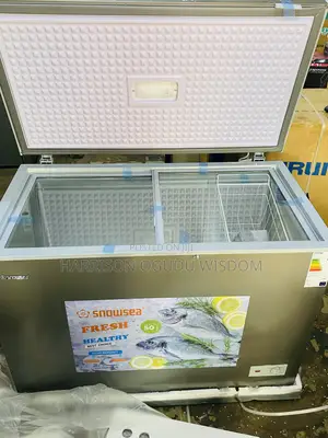 Snowsea Deep Freezer 300l ( Model 450g) Available for Sale