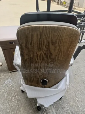 Executive Ergonomic Office Chair