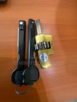 Smart Door Israeli Cylinder