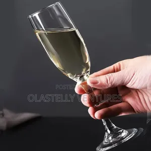 Quality Acrylic Champagne Cup. H