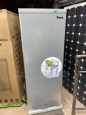 Bona 198l AC/Dc Ice Block Upright Freezer