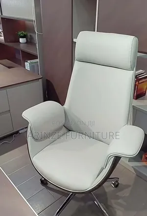 Executive Fashion Chair
