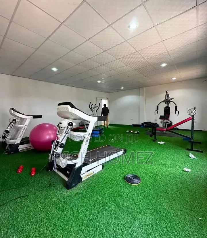 Artificial Grasses