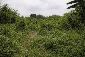 Affordable 1000sqm Plot Of Land In Kuje