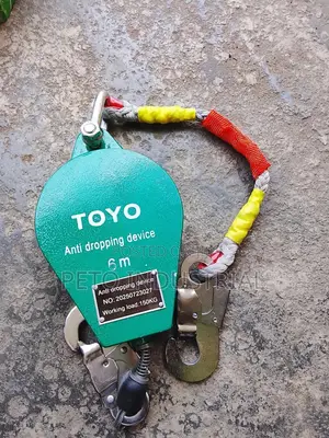 6m Fall Arrestor