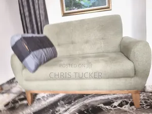 Fibre Two Seaters Comfortable Home Chair