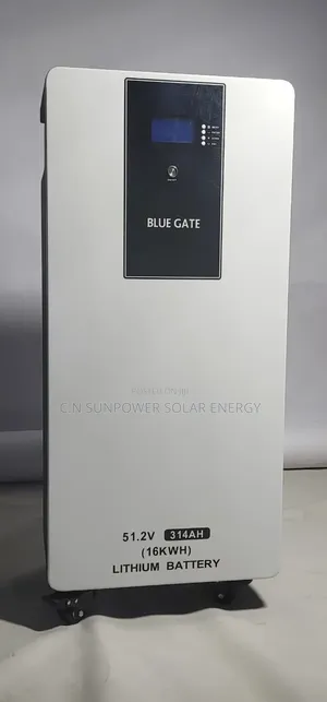 16kwh/51.2v Blue-Gate Lithium-Iron Battery