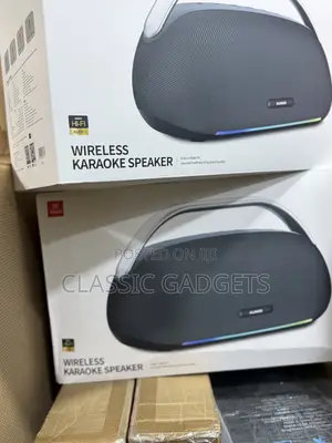 Xundd Sp017 300w Wireless Karaoke Speaker With Dual Microphone