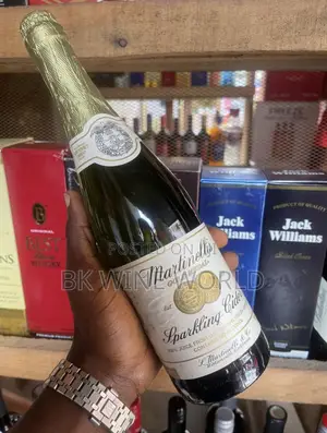 Martinelli’S Sparkling Apple Cider 100% Juice - 750ml X 12 Bottles