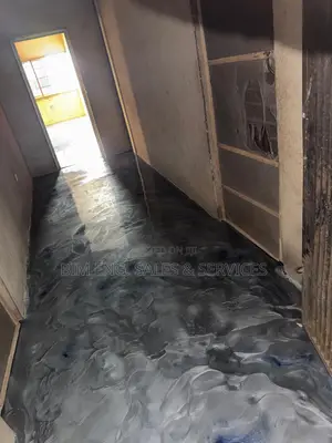 Epoxy Concrete, Polished Paint