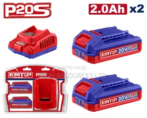 P20s Lithium-Ion Battery and Charger Kit