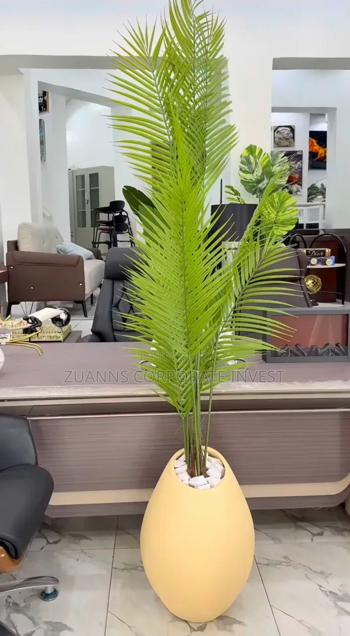 Elegant Design Palm Tree Flower