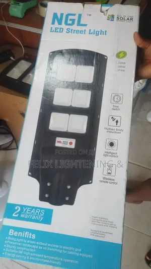 Solar Street Light 225w