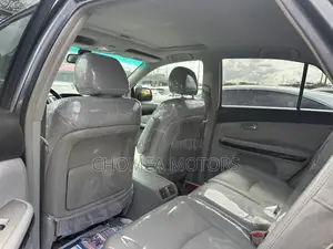 Lexus RX 2008 Gray