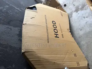 Bonnet/Hood Lexus Rx350 2024 Model