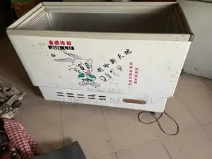 Jin Lu (Korean Used) Deep Freezer.