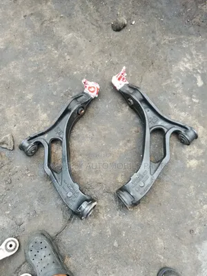 Low Arm Touareg