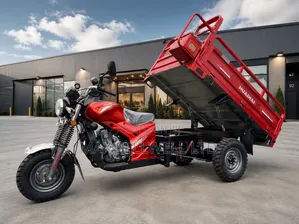 New Tricycle 2026 Red