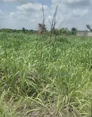 Plots of Land for Sale
