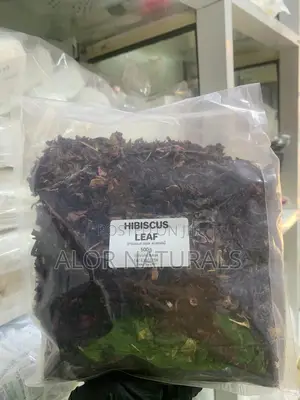 Hibiscus Leaf