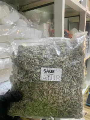 Sage(Salvia Officinalis)