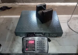 300kg Wireless Electronic Sofrank Scale