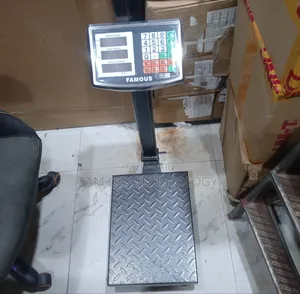 100kg Famous Electronic Scale