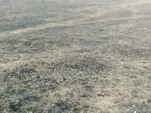 31.36hectares Distress Sale Farmland At Kwali