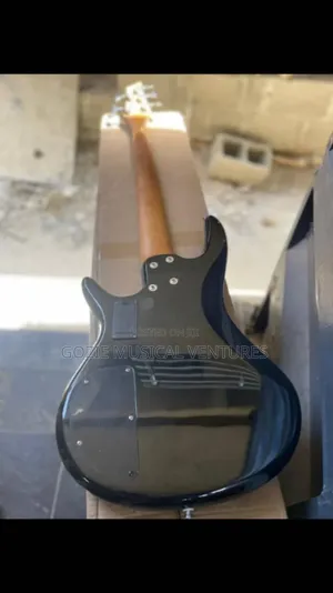 Deviser Five String Active Bass Guitar Black Colour.