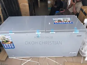 Nexus Inverter Deep Freezer