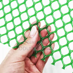Plastic Wire Mesh for Healthy Chicken